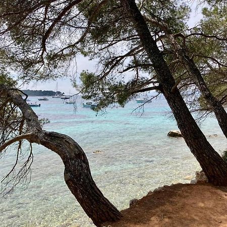Appartement Centre Croisette Emplacement Exceptionnel Cannes Buitenkant foto