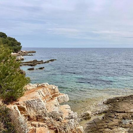 Appartement Centre Croisette Emplacement Exceptionnel Cannes Buitenkant foto