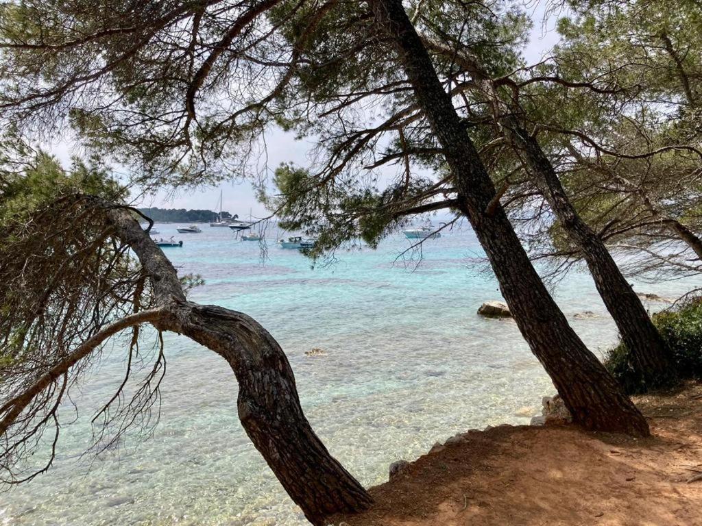 Appartement Centre Croisette Emplacement Exceptionnel Cannes Buitenkant foto