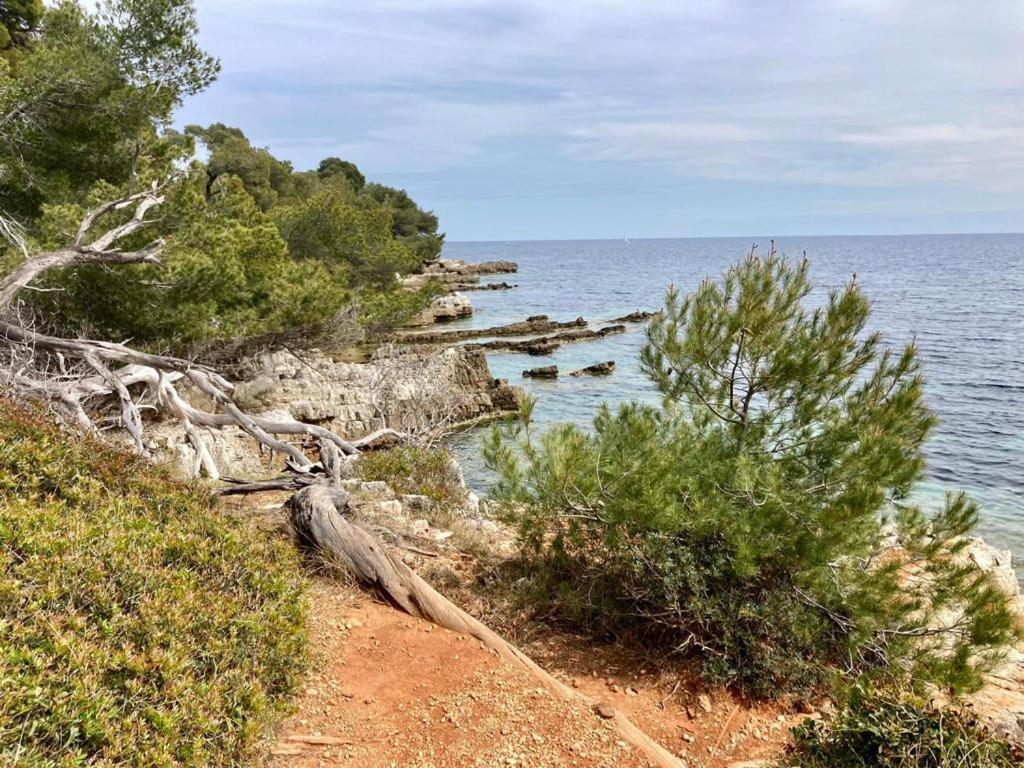 Appartement Centre Croisette Emplacement Exceptionnel Cannes Buitenkant foto