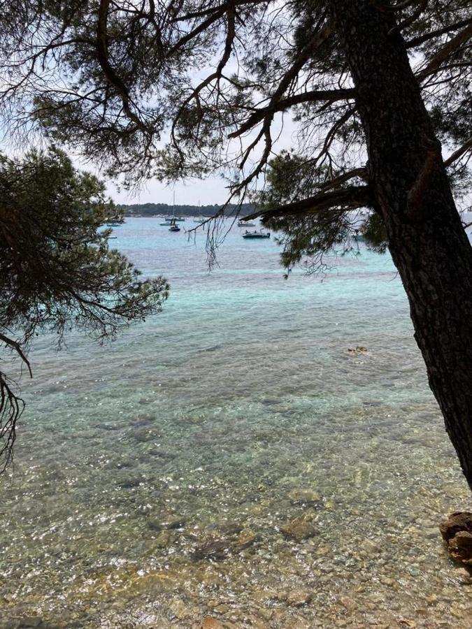 Appartement Centre Croisette Emplacement Exceptionnel Cannes Buitenkant foto