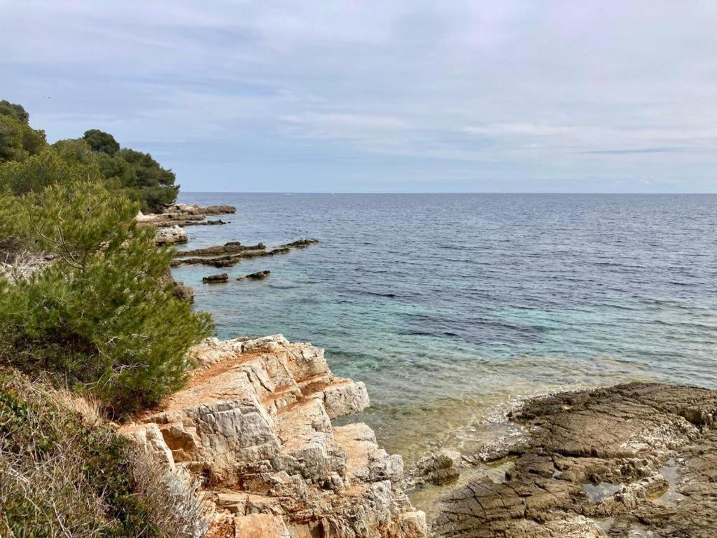 Appartement Centre Croisette Emplacement Exceptionnel Cannes Buitenkant foto